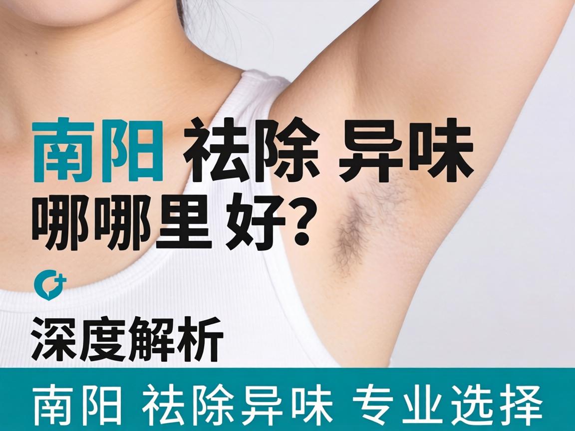 南阳祛除异味哪里好?深度解析南阳祛除异味专业选择 南阳祛除异味哪里好?深度解析南阳祛除异味专业选择